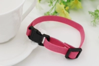 Роза красная