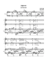 Два фортепианных аккомпанемента положительный спектральный стальной звук