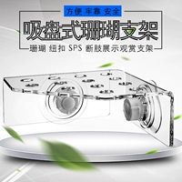 13 отверстий кораллов SPS Кронштейн Кроншл CRB-13 Стрелок коррекции Acklie разбитые конечности для укрепления всасывающих чашек