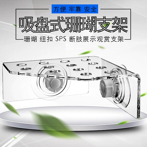 13 отверстий кораллов SPS Кронштейн Кроншл CRB-13 Стрелок коррекции Acklie разбитые конечности для укрепления всасывающих чашек