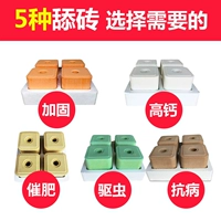 Корова -очень облизывая кирпичные овцы с питанием соляного кирпича и кирпичами, облизывая блокировки соляных блоков, чтобы добавить добавки для девабрирования насекомых, чтобы увеличить консолидацию жира