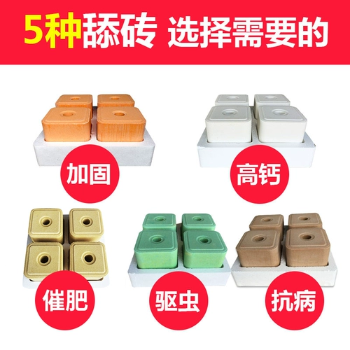 Корова -очень облизывая кирпичные овцы с питанием соляного кирпича и кирпичами, облизывая блокировки соляных блоков, чтобы добавить добавки для девабрирования насекомых, чтобы увеличить консолидацию жира