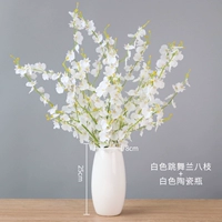 Кремовый, белый