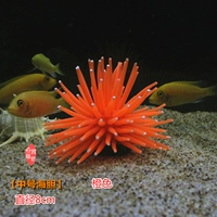 【8 см среднего морского ежа】 Orange