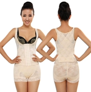 Kích thước lớn kết hợp với bụng hông cơ thể định hình cơ thể phù hợp với corset phù hợp với bộ eo
