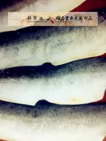 Рыбная кожа рисунок сырье Большое маха рыбная кожа Трисральная лосось кожа рыба