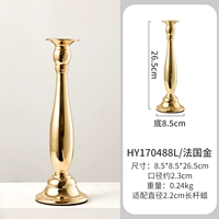 HY170488-L Golden Big France, Франция