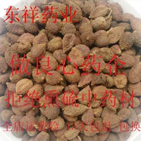 Amomumopa Yangchun Special Product Chunsha Renchun Sand Dished Ahelone Rice Shesus 500G Бесплатная доставка