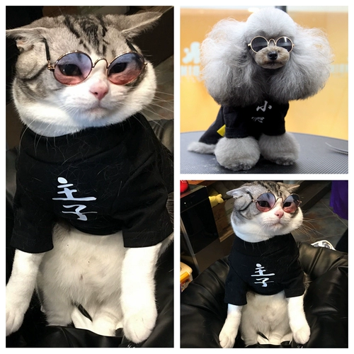 [Джессика] Кошки и собаки декоративные очки Турецкие высокие солнцезащитные очки для отдыха