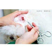 Pet chó và cầm máu chó Kéo cắt tai chất lượng cao bằng thép không gỉ cong miệng chó mèo cầm máu kẹp kìm - Cat / Dog Medical Supplies