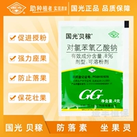 Guoguangbei навсегда продвигайте линг -линг томатные сидячие фрукты вишневые вишневые фрукты личи