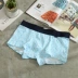 2 mảnh phim hoạt hình đồ lót nam thủy triều thể thao cotton boxer thanh niên cá tính cây dừa bốn góc đồ lót nam quần lót nam cho người cao tuổi Nam giới