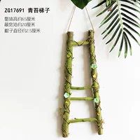 ZG17691 MOSS MOSS LADDER