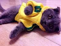 Утепленный желтый шлем