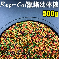 500G [личинки игуаны масла]