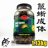 1,13 кг 【Игуана для взрослых оригинальной ствол】