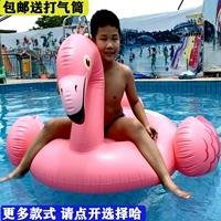 Рецидивировать 300 фунтов, чтобы отправить ручную карман