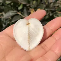 Бейсин Клуп 2-3 см