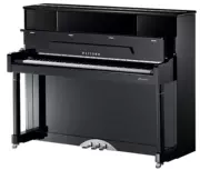 New Pearl River Piano Witten Series Series Kiểm tra chuyên nghiệp W120 Piano dọc Trẻ em Dạy Piano tại nhà