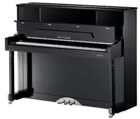 New Pearl River Piano Witten Series Series Kiểm tra chuyên nghiệp W120 Piano dọc Trẻ em Dạy Piano tại nhà dương cầm