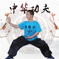 Shaolin Kungfu T -Fork Taiji Plow