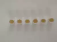 Золотая кисть