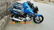 Xe máy đã qua sử dụng Yamaha Tianjian 125 Honda Warhawk 150 bàn đạp Qiaogefuxi Neptune Horizon - mortorcycles