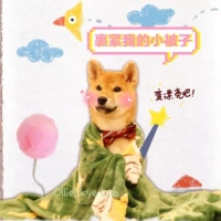 Shiba Inu chăn / sao chó sốt / pet phim hoạt hình con flannel chăn nhung san hô không khí giản dị ấm điều hòa chăn - Ném / Chăn chăn cừu chữ vạn