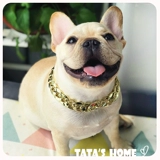 Установка домашних животных B Артефакт собака золотой цепь Fa doubitki corgi Большой, средний подвеска для собак с собачьими украшениями