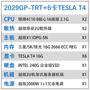6卡 TESLA T4
