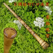 L50403E 桂竹南 箫 大头 箫 玉屏 Hướng dẫn điều chỉnh đường kính bên trong thuận tay cho dụng cụ tám lỗ - Nhạc cụ dân tộc