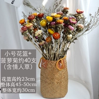 Huangxiao+Persian Chrysanthemum 60-70 цветы+любовница трава
