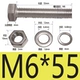M6*55 (10)