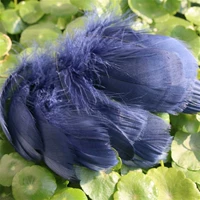 Пурпурно -красный скрытый голубой трепетание 100 корней