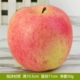 № 120 Great Fuji Apple