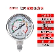 Được tùy chỉnh
            Jingpu nhà sản xuất YN60BF thép không gỉ 304 chống sốc xuyên tâm đồng hồ đo áp suất dầu áp suất nước áp suất không khí ngâm dầu 1.6MPA