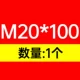 M20*100