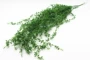 Mô phỏng hoa nho giả hoa xanh cây phòng khách treo tường trang trí cây nhựa dây leo mây thịt người yêu nước mắt - Hoa nhân tạo / Cây / Trái cây Ý tưởng từ khóa