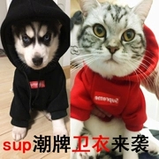 Quần áo chó thương hiệu áo len Teddy hơn gấu chiến đấu với Bomei mèo con chó con quần áo hai chân quần áo mùa xuân và mùa hè mỏng - Quần áo & phụ kiện thú cưng