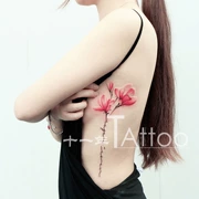 Hoa ban đầu cánh tay xăm dán không thấm nước nữ ngang hoa body painting Hàn Quốc mô phỏng bền nhãn dán hình xăm