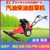 Máy cắt cỏ Orchard diesel diệt cỏ dại xăng lúa mạch đen máy cắt cỏ thu hoạch nông nghiệp tự hành đẩy máy cắt cỏ máy cắt cỏ mini Máy cắt cỏ