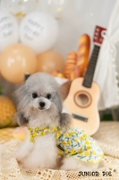 21jp09s лимонный желтый, предварительная продажа в середине марта