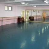 Пользовательский танцпол, 5,0 толстого танцевального клей, профессиональный танец классной комнаты, танцевальная комната