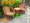 Ghế mây thật tự nhiên ba mảnh ghế ban công kết hợp bàn ghế mây xoay ghế mây đồ nội thất ghế mây Indonesia phòng ngủ yang - Bàn ghế ngoài trời / sân