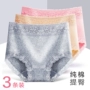 3 chiếc quần lót nữ bằng vải cotton 100% cotton nữ kháng khuẩn không có dấu vết kích thước lớn eo cao mua bán quần lót nữ chưa giặt