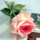 Mô phỏng đơn hoa hồng nhựa phòng khách giả hoa cưới phòng khách trang trí nhà hoa trang trí hoa nhân tạo cao cấp - Trang trí nội thất