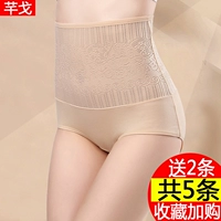 5 eo cao tummy hip ladies đồ lót cotton 裆 kích thước lớn sau sinh cơ thể hình ấm cung điện tóm tắt nữ mùa thu và mùa đông quần lót nữ cao cấp