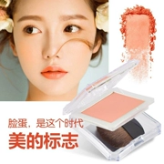 Fairytale cô gái đơn sắc blush cổ điển màu sắc tươi sáng mong muốn cực khoái đỏ sâu họng sexy màu nude trang điểm rouge với bàn chải