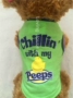 Quần áo chó mùa xuân và mùa thu Teddy vest Chihuahua hơn gấu con chó con quần áo bông đặc biệt - Quần áo & phụ kiện thú cưng áo lân cho cún