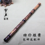 Một phần của Zizhu Người mới bắt đầu ngắn 箫 tám lỗ 箫 Nhạc cụ Xiao chuyên nghiệp Zizhu ngắn Gửi phụ kiện - Nhạc cụ dân tộc